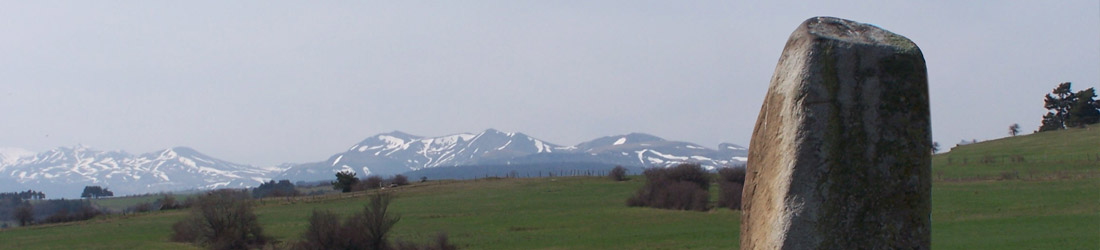 Sitelle conseil en développement territorial exemples de missions projet de territoire